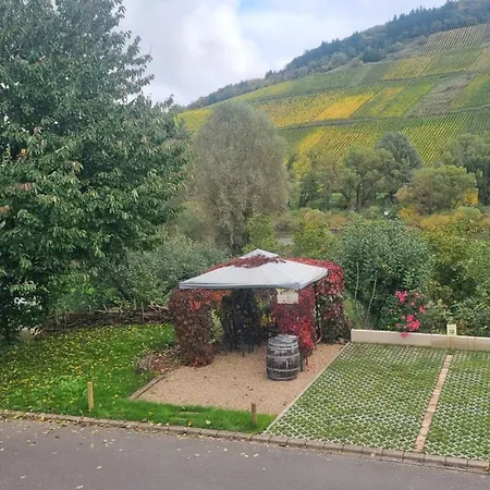 דירה Casa Barzen - Stilvoll Urlauben An Der Mosel רייל